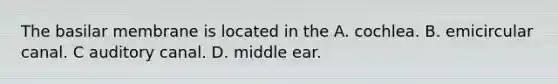 The basilar membrane is located in the A. cochlea. B. emicircular canal. C auditory canal. D. middle ear.