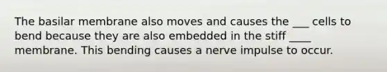 The basilar membrane also moves and causes the ___ cells to bend because they are also embedded in the stiff ____ membrane. This bending causes a nerve impulse to occur.