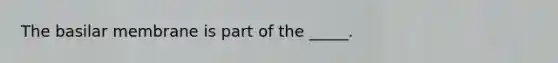 The basilar membrane is part of the _____.