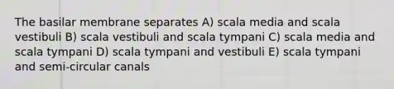 The basilar membrane separates A) scala media and scala vestibuli B) scala vestibuli and scala tympani C) scala media and scala tympani D) scala tympani and vestibuli E) scala tympani and semi-circular canals