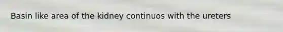 Basin like area of the kidney continuos with the ureters
