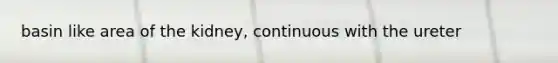 basin like area of the kidney, continuous with the ureter