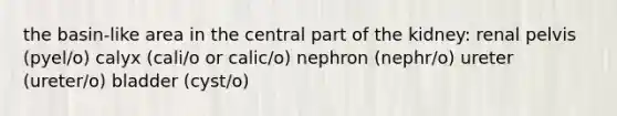 the basin-like area in the central part of the kidney: renal pelvis (pyel/o) calyx (cali/o or calic/o) nephron (nephr/o) ureter (ureter/o) bladder (cyst/o)