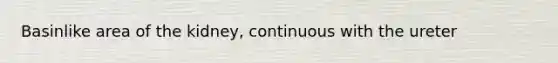 Basinlike area of the kidney, continuous with the ureter