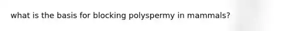 what is the basis for blocking polyspermy in mammals?