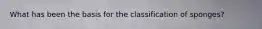 What has been the basis for the classification of sponges?