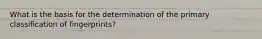 What is the basis for the determination of the primary classification of fingerprints?