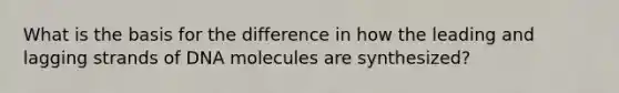 What is the basis for the difference in how the leading and lagging strands of DNA molecules are synthesized?