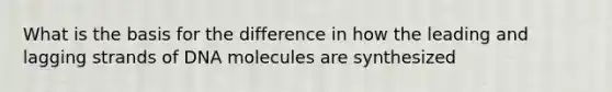 What is the basis for the difference in how the leading and lagging strands of DNA molecules are synthesized