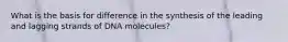 What is the basis for difference in the synthesis of the leading and lagging strands of DNA molecules?