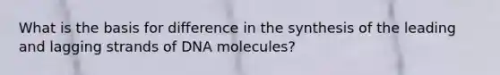 What is the basis for difference in the synthesis of the leading and lagging strands of DNA molecules?