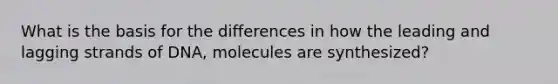 What is the basis for the differences in how the leading and lagging strands of DNA, molecules are synthesized?