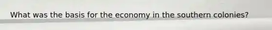 What was the basis for the economy in the southern colonies?