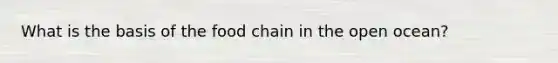 What is the basis of the food chain in the open ocean?