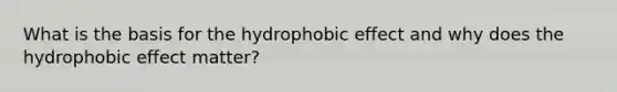 What is the basis for the hydrophobic effect and why does the hydrophobic effect matter?