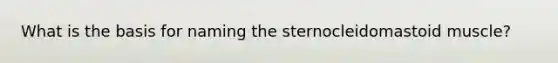 What is the basis for naming the sternocleidomastoid muscle?