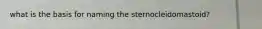 what is the basis for naming the sternocleidomastoid?