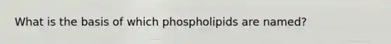 What is the basis of which phospholipids are named?