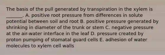 The basis of the pull generated by transpiration in the xylem is _______. A. positive root pressure from differences in solute potential between soil and root B. positive pressure generated by shrinking in diameter of the trunk or stem C. negative pressure at the air-water interface in the leaf D. pressure created by proton pumping of stomatal guard cells E. adhesion of water molecules to xylem cell walls