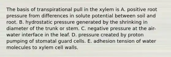 The basis of transpirational pull in the xylem is A. positive root pressure from differences in solute potential between soil and root. B. hydrostatic pressure generated by the shrinking in diameter of the trunk or stem. C. negative pressure at the air-water interface in the leaf. D. pressure created by proton pumping of stomatal guard cells. E. adhesion tension of water molecules to xylem cell walls.