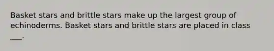 Basket stars and brittle stars make up the largest group of echinoderms. Basket stars and brittle stars are placed in class ___.