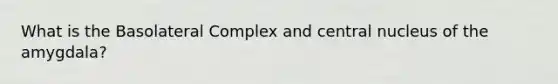 What is the Basolateral Complex and central nucleus of the amygdala?