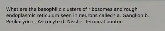 What are the basophilic clusters of ribosomes and rough endoplasmic reticulum seen in neurons called? a. Ganglion b. Perikaryon c. Astrocyte d. Nissl e. Terminal bouton