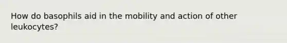 How do basophils aid in the mobility and action of other leukocytes?