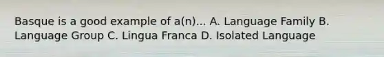 Basque is a good example of a(n)... A. Language Family B. Language Group C. Lingua Franca D. Isolated Language