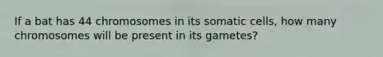 If a bat has 44 chromosomes in its somatic cells, how many chromosomes will be present in its gametes?