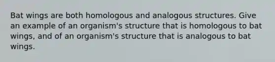 Bat wings are both homologous and analogous structures. Give an example of an organism's structure that is homologous to bat wings, and of an organism's structure that is analogous to bat wings.