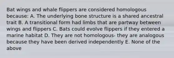 Bat wings and whale flippers are considered homologous because: A. The underlying bone structure is a shared ancestral trait B. A transitional form had limbs that are partway between wings and flippers C. Bats could evolve flippers if they entered a marine habitat D. They are not homologous- they are analogous because they have been derived independently E. None of the above