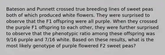 Bateson and Punnett crossed true breeding lines of sweet peas both of which produced white flowers. They were surprised to observe that the F1 offspring were all purple. When they crossed the purple F1 offspring to each other, they were further surprised to observe that the phenotypic ratio among these offspring was 9/16 purple and 7/16 white. Based on these results, what is the most likely genotype of purple flowered F2 sweet peas?