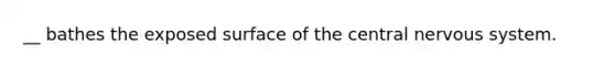 __ bathes the exposed surface of the central nervous system.
