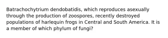 Batrachochytrium dendobatidis, which reproduces asexually through the production of zoospores, recently destroyed populations of harlequin frogs in Central and South America. It is a member of which phylum of fungi?