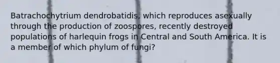 Batrachochytrium dendrobatidis, which reproduces asexually through the production of zoospores, recently destroyed populations of harlequin frogs in Central and South America. It is a member of which phylum of fungi?