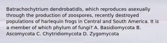 Batrachochytrium dendrobatidis, which reproduces asexually through the production of zoospores, recently destroyed populations of harlequin frogs in Central and South America. It is a member of which phylum of fungi? A. Basidiomycota B. Ascomycota C. Chytridiomycota D. Zygomycota