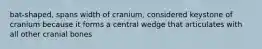 bat-shaped, spans width of cranium, considered keystone of cranium because it forms a central wedge that articulates with all other cranial bones