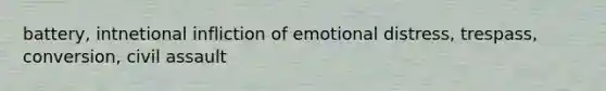 battery, intnetional infliction of emotional distress, trespass, conversion, civil assault