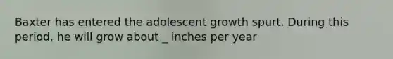 Baxter has entered the adolescent growth spurt. During this period, he will grow about _ inches per year