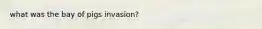 what was the bay of pigs invasion?