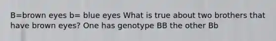 B=brown eyes b= blue eyes What is true about two brothers that have brown eyes? One has genotype BB the other Bb