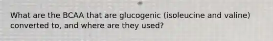 What are the BCAA that are glucogenic (isoleucine and valine) converted to, and where are they used?