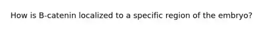 How is B-catenin localized to a specific region of the embryo?