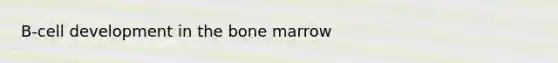 B-cell development in the bone marrow