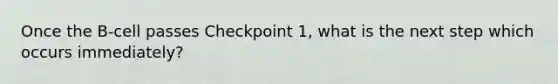 Once the B-cell passes Checkpoint 1, what is the next step which occurs immediately?