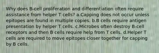 Why does B-cell proliferation and differentiation often require assistance from helper T cells? a.Capping does not occur unless epitopes are found in multiple copies. b.B cells require antigen presentation by helper T cells. c.Microbes often destroy B-cell receptors and then B cells require help from T cells. d.Helper T cells are required to move epitopes closer together for capping by B cells.