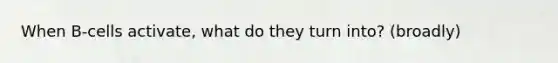 When B-cells activate, what do they turn into? (broadly)