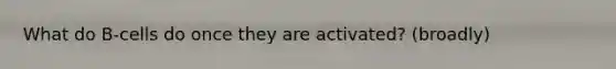 What do B-cells do once they are activated? (broadly)