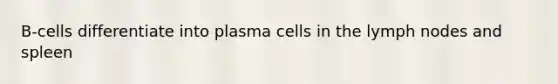 B-cells differentiate into plasma cells in the lymph nodes and spleen